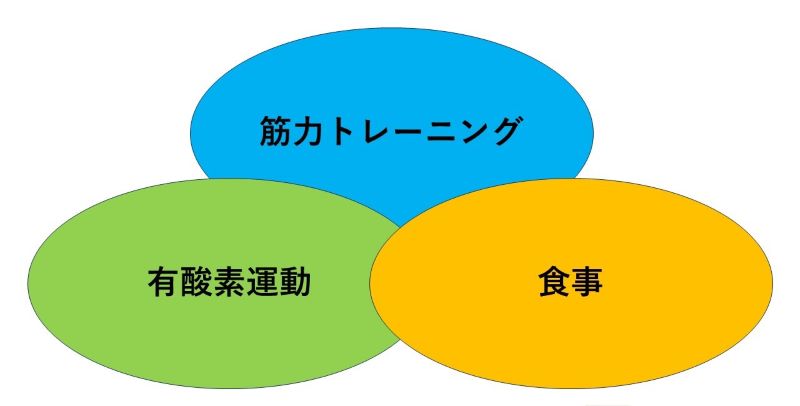 筋力トレーニング・有酸素運動・食事の3つの項目