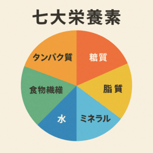 7大栄養素の画像