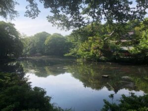 手前に湖、奥に木々と建物