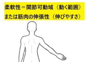 柔軟性に関する説明と人の上半身イラスト