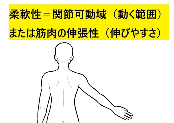 柔軟性に関する説明と人の上半身イラスト