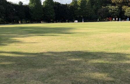 「井の頭体操教室」のお知らせ