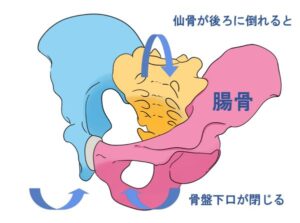 骨盤の「反うなずき運動」を表したイラスト