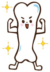 元気で強い骨
