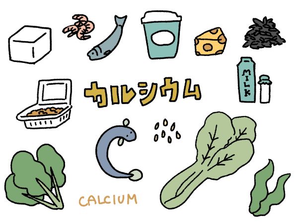 カルシウムが多い食材