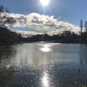 朝の井の頭公園