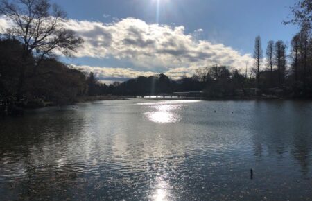 朝の井の頭公園