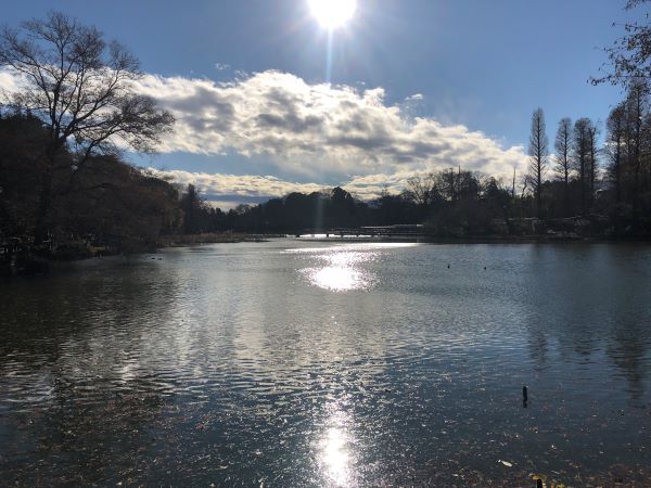 朝の井の頭公園