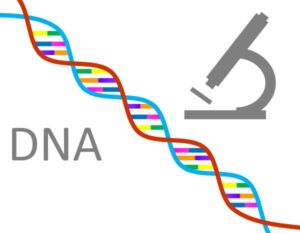 遺伝子とDNAの文字　顕微鏡