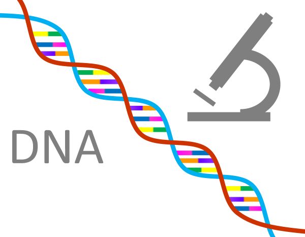 遺伝子とDNAの文字 顕微鏡